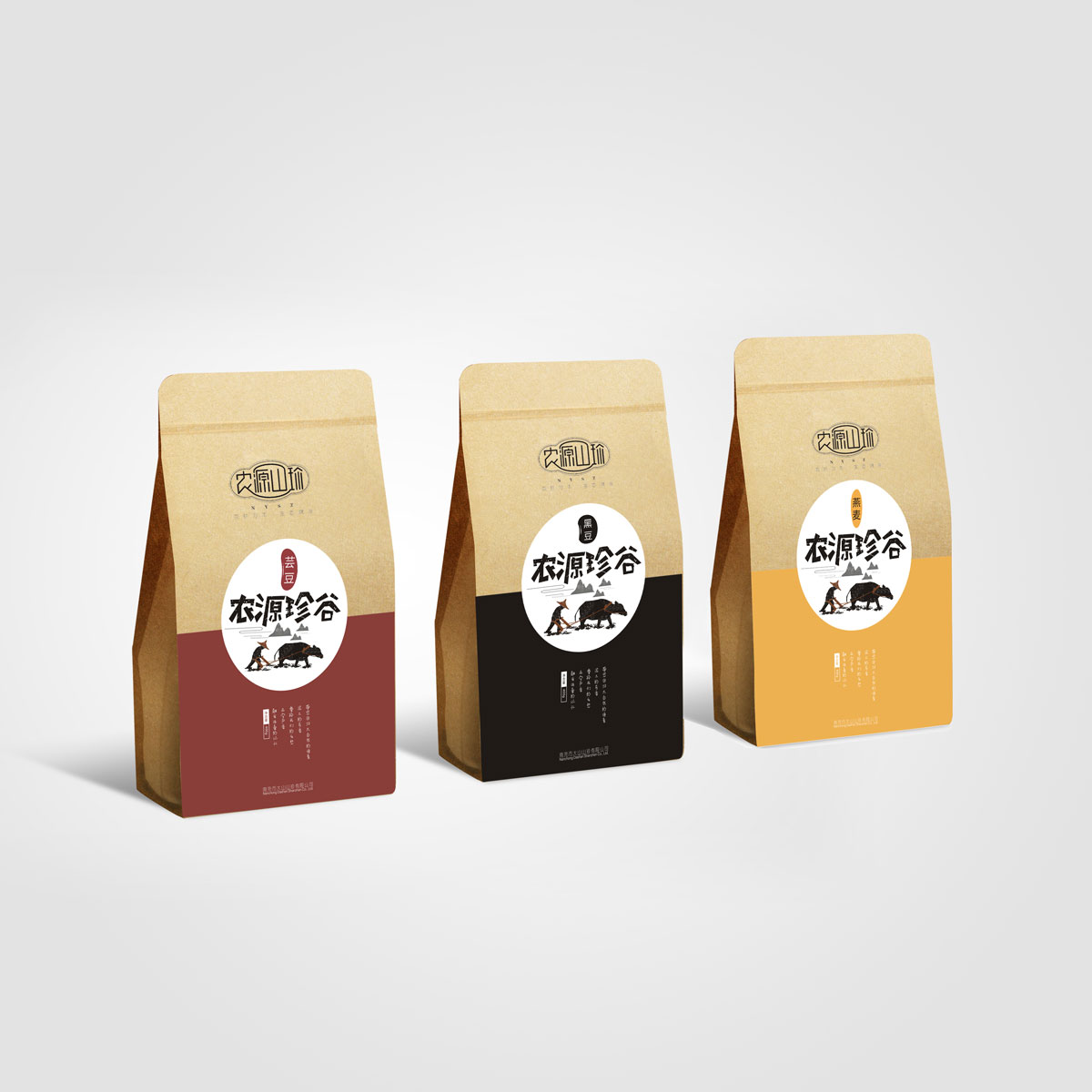 南充市大山山珍有限公司委托龍騰設計進(jìn)行整體品牌策劃