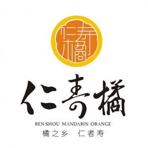 眉山在升廣告有限公司委托龍騰設計公司VI