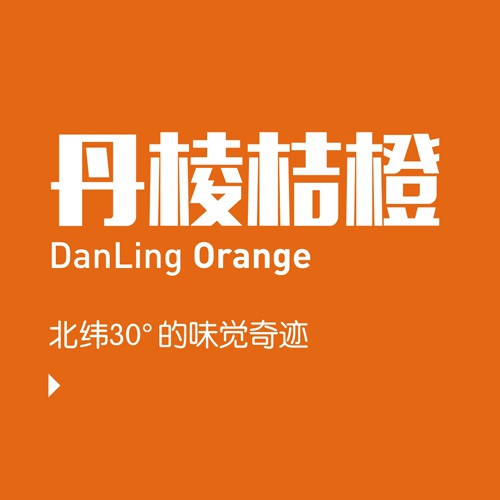 招商手冊設計-丹棱桔橙招商手冊設計|水果桔橙不知火春見(jiàn)清見(jiàn)愛(ài)媛38號春香桔柚產(chǎn)品項目招商畫(huà)冊設計