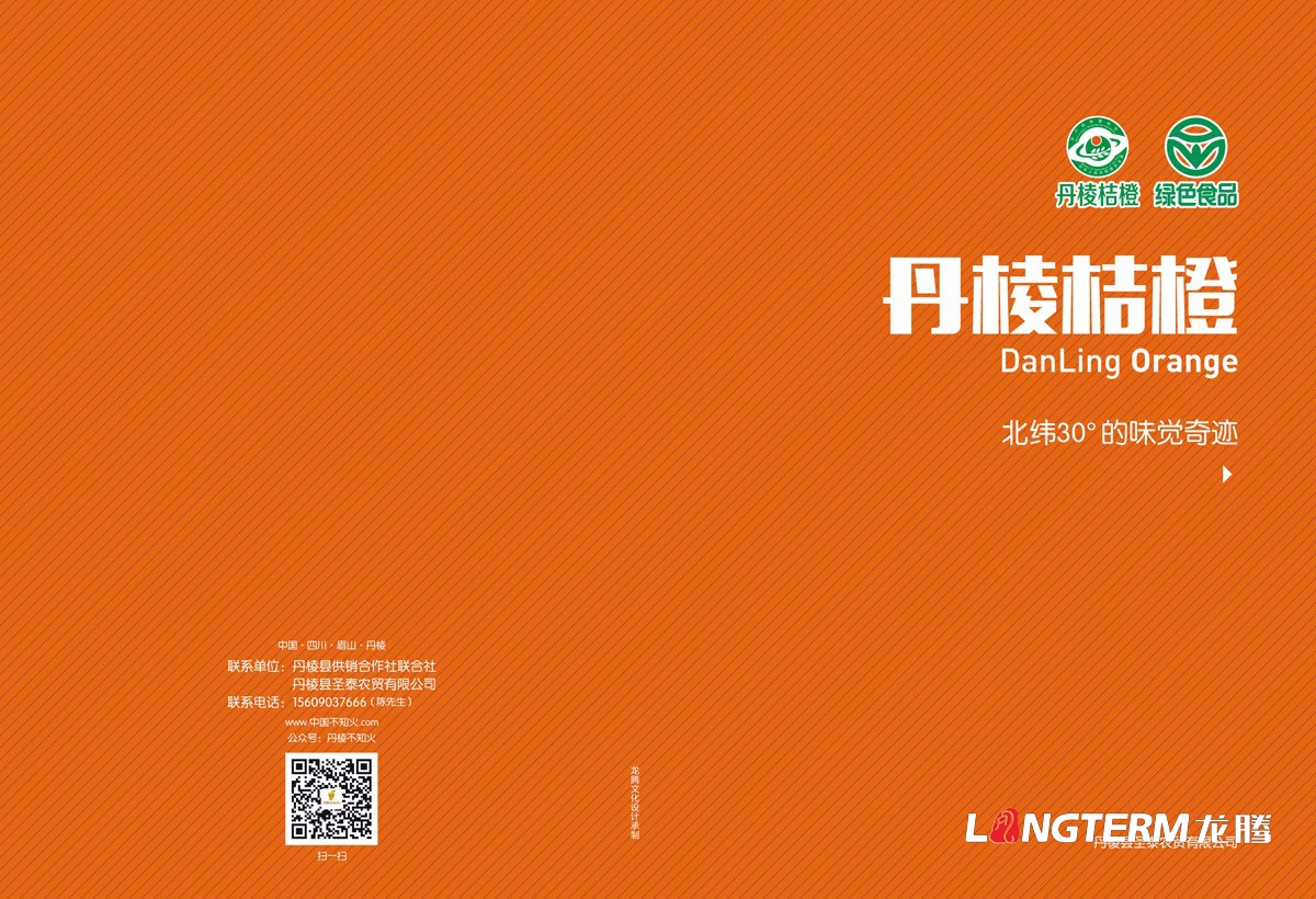 丹棱桔橙招商手冊設計|水果桔橙不知火春見(jiàn)清見(jiàn)愛(ài)媛38號春香桔柚產(chǎn)品項目招商畫(huà)冊設計