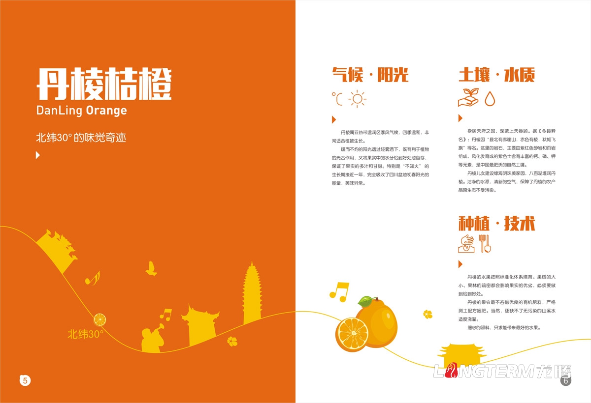 丹棱桔橙招商手冊設計|水果桔橙不知火春見(jiàn)清見(jiàn)愛(ài)媛38號春香桔柚產(chǎn)品項目招商畫(huà)冊設計