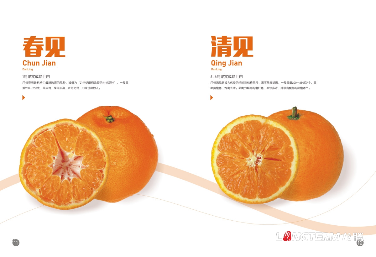 丹棱桔橙招商手冊設計|水果桔橙不知火春見(jiàn)清見(jiàn)愛(ài)媛38號春香桔柚產(chǎn)品項目招商畫(huà)冊設計