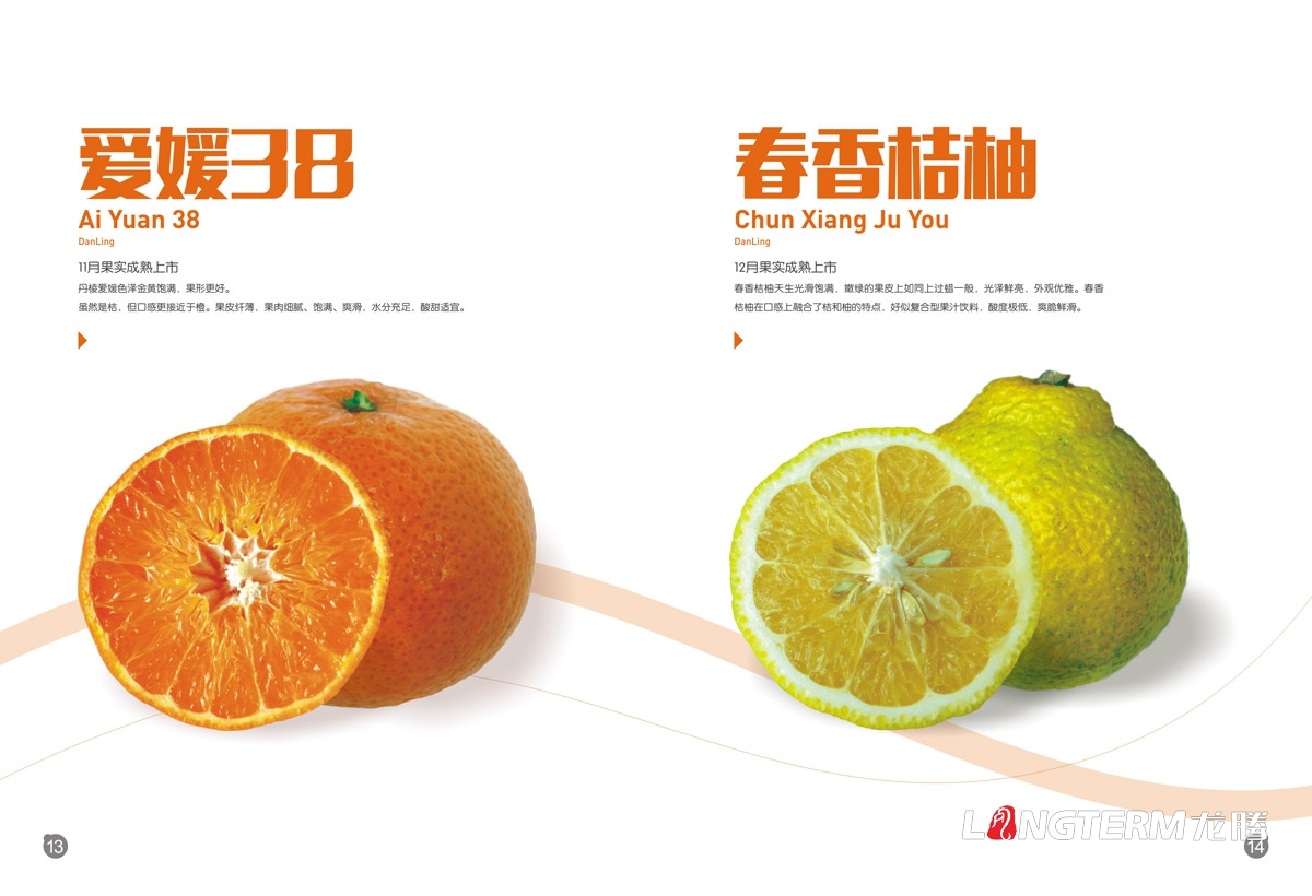 丹棱桔橙招商手冊設計|水果桔橙不知火春見(jiàn)清見(jiàn)愛(ài)媛38號春香桔柚產(chǎn)品項目招商畫(huà)冊設計