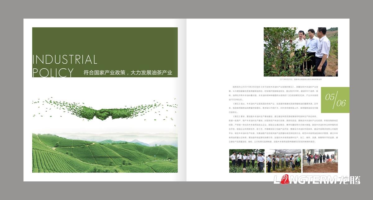 東方烏蒙企業(yè)形象畫(huà)冊設計|茶油產(chǎn)業(yè)基地宣傳冊設計|鄉村生態(tài)旅游宣傳畫(huà)冊設計