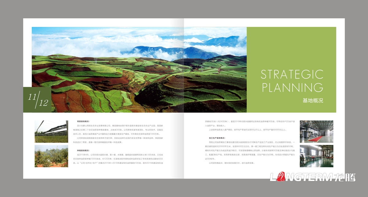 東方烏蒙企業(yè)形象畫(huà)冊設計|茶油產(chǎn)業(yè)基地宣傳冊設計|鄉村生態(tài)旅游宣傳畫(huà)冊設計