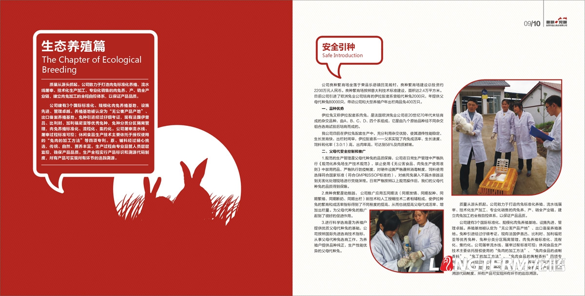 品山兔業(yè)形象畫(huà)冊設計|自貢市企業(yè)宣傳冊設計|鮮兔冷吃兔缺牙巴兔九刀兔休閑食品宣傳畫(huà)冊設計