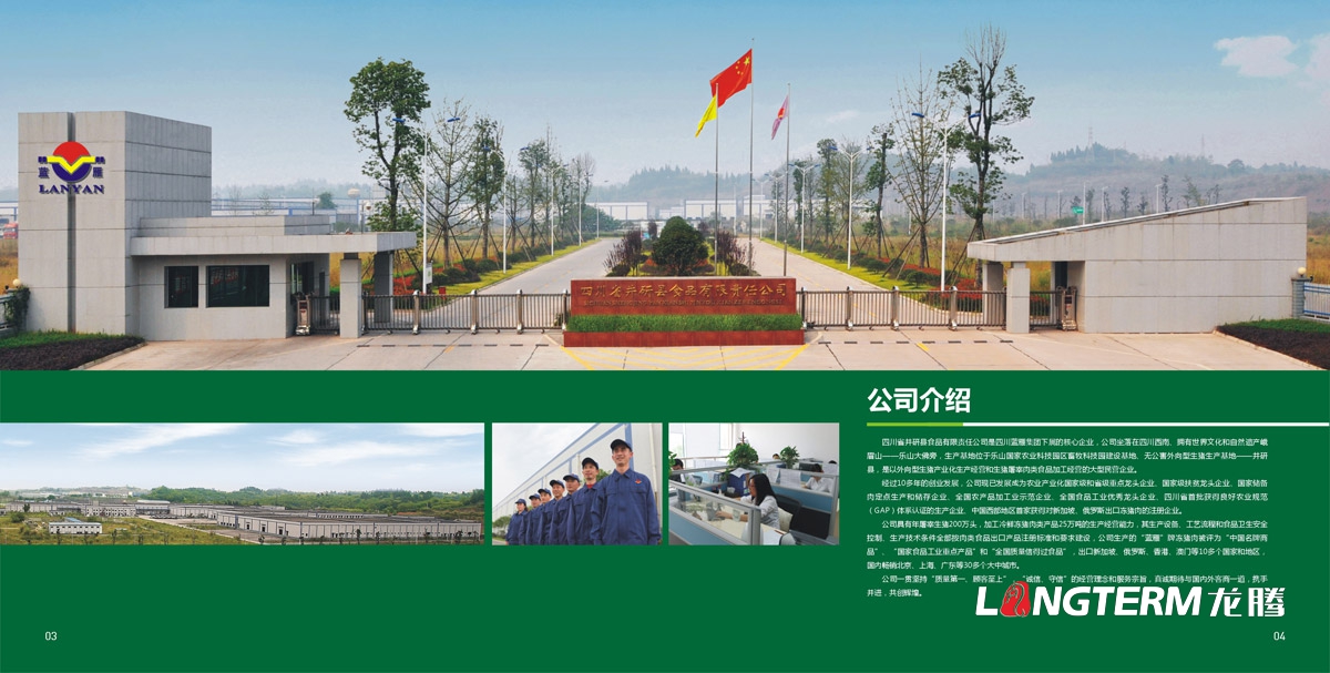 四川省井研食品有限責任公司畫(huà)冊設計|樂(lè )山市食品工業(yè)園企業(yè)形象宣傳冊設計