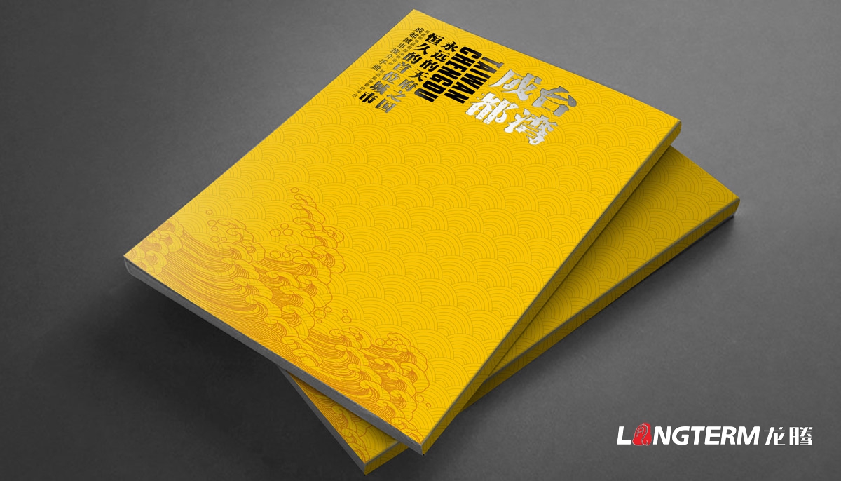 四川海峽同舟商務(wù)服務(wù)公司畫(huà)冊設計|成都城市推介手冊設計|西部地區商務(wù)形象公司推薦畫(huà)冊設計