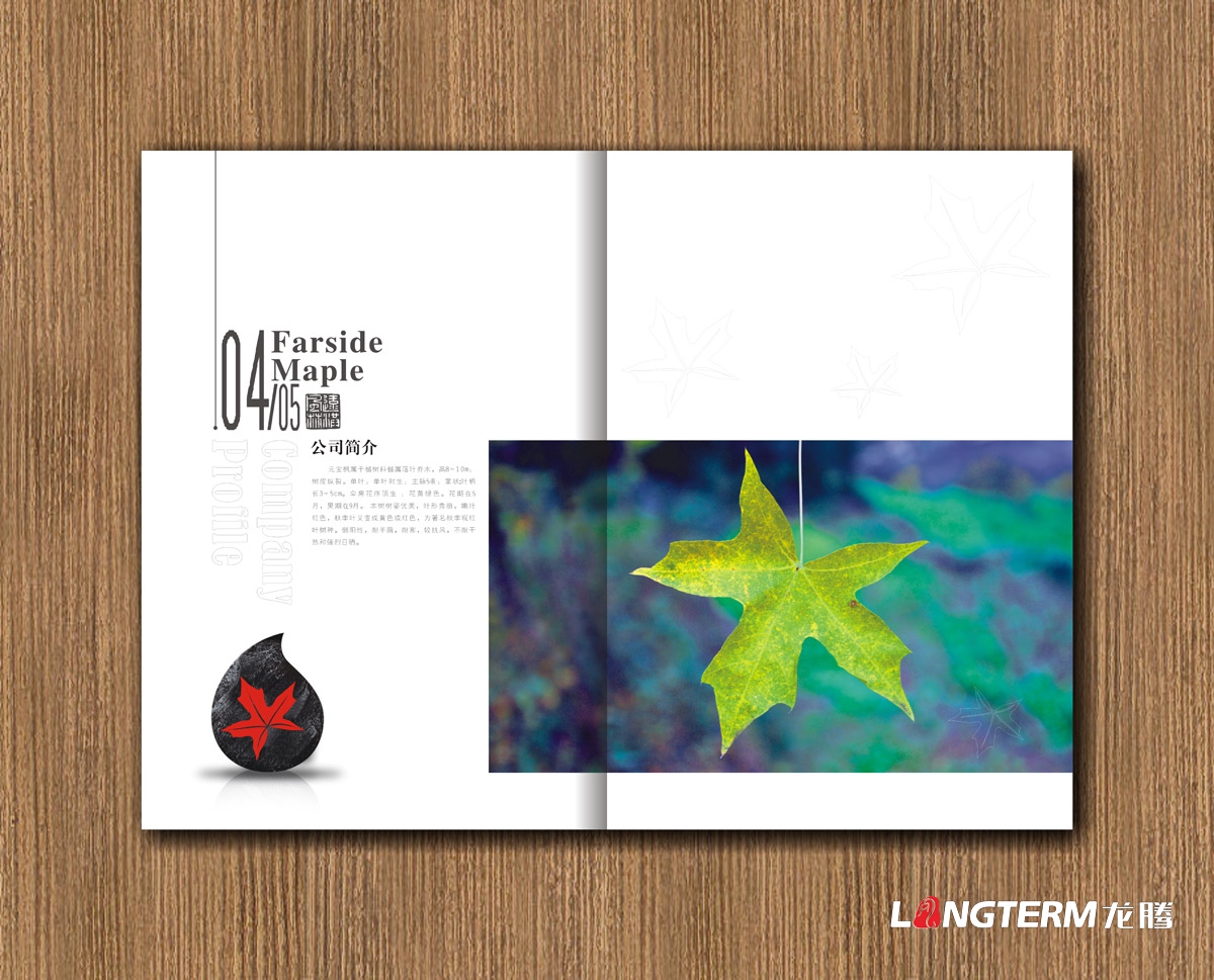 遠洪風(fēng)林林業(yè)公司宣傳冊設計|四川林業(yè)園林農業(yè)木業(yè)牧業(yè)公司企業(yè)形象宣傳冊設計