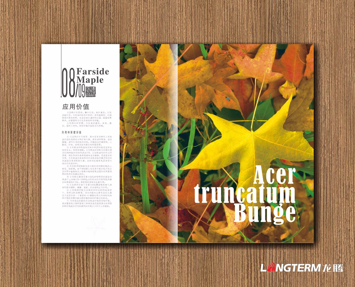 遠洪風(fēng)林林業(yè)公司宣傳冊設計|四川林業(yè)園林農業(yè)木業(yè)牧業(yè)公司企業(yè)形象宣傳冊設計