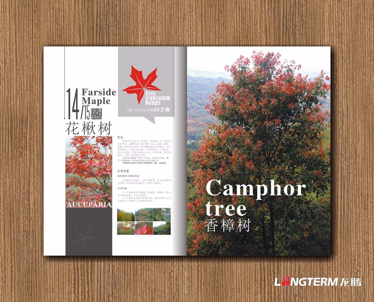 遠洪風(fēng)林林業(yè)公司宣傳冊設計|四川林業(yè)園林農業(yè)木業(yè)牧業(yè)公司企業(yè)形象宣傳冊設計