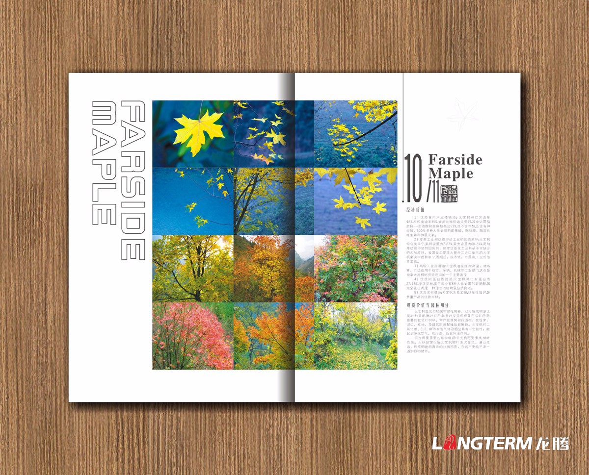 遠洪風(fēng)林林業(yè)公司宣傳冊設計|四川林業(yè)園林農業(yè)木業(yè)牧業(yè)公司企業(yè)形象宣傳冊設計