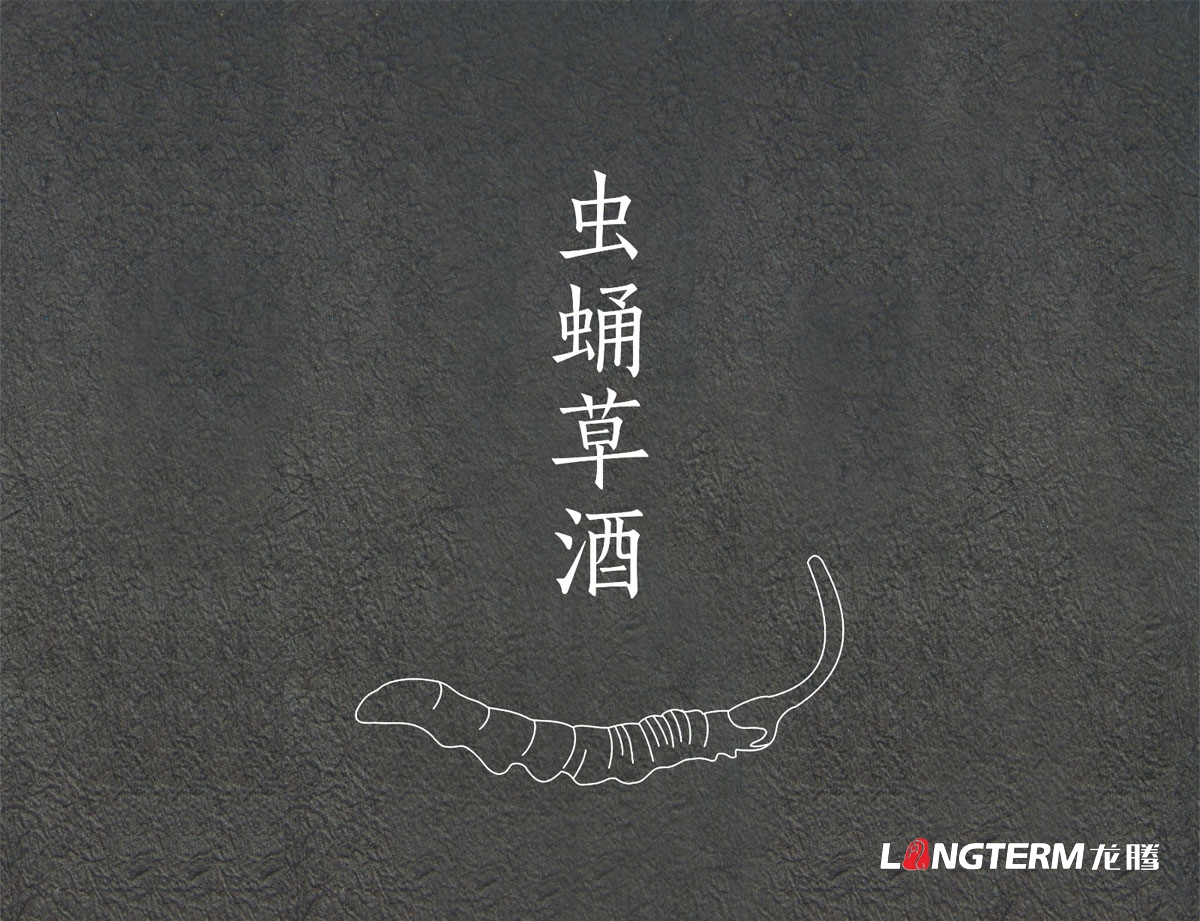 五糧液保健酒創(chuàng  )意包裝設計|竹蓀酒蟲(chóng)草蛹酒白酒包裝設計|五糧液集團公司酒包裝設計效果圖