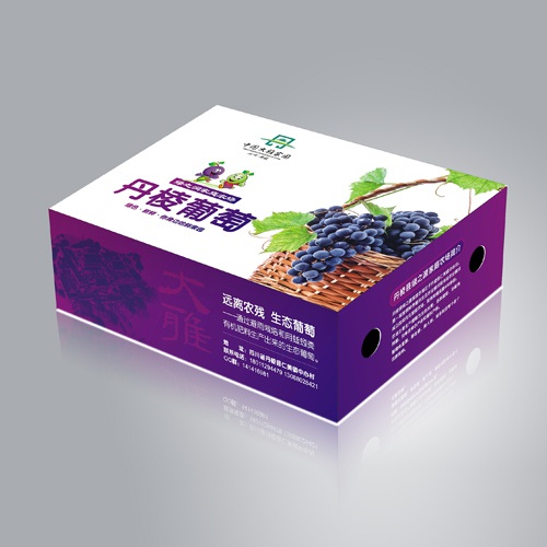 水果包裝設計-丹棱葡萄包裝設計|新鮮水果葡萄簡(jiǎn)裝禮盒包裝設計效果圖