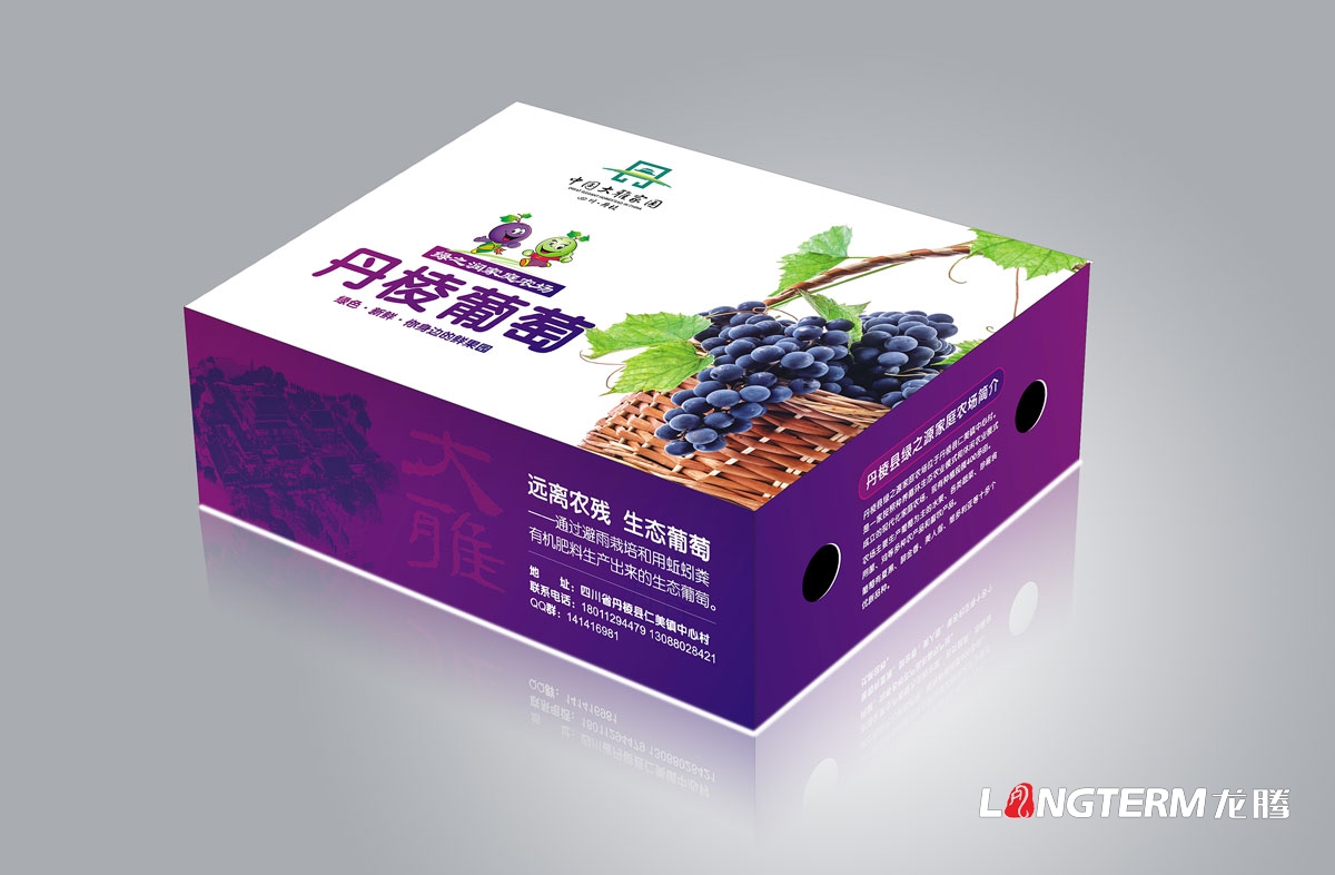 丹棱葡萄包裝設計|新鮮水果葡萄簡(jiǎn)裝禮盒包裝設計效果圖