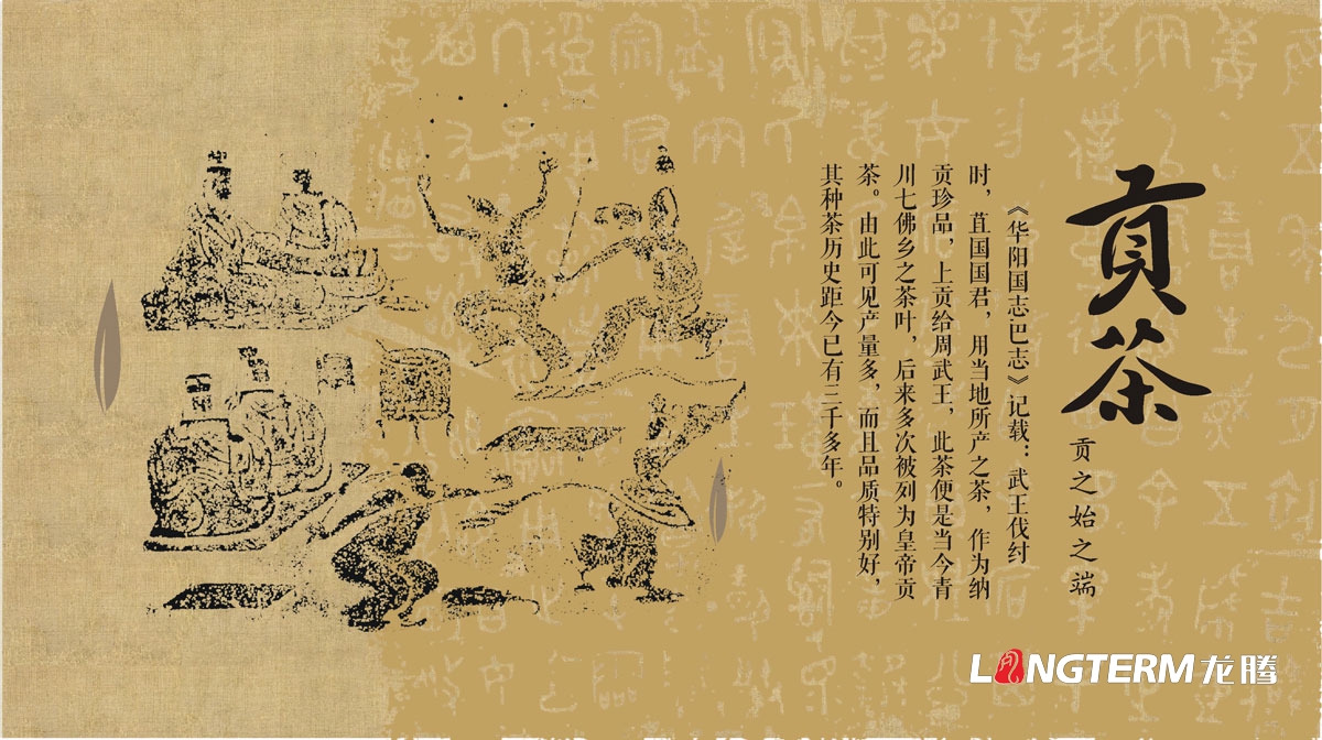 七佛貢茶茶葉LOGO設計|茶葉核心文化溯源輔助圖例字體視覺(jué)形象設計