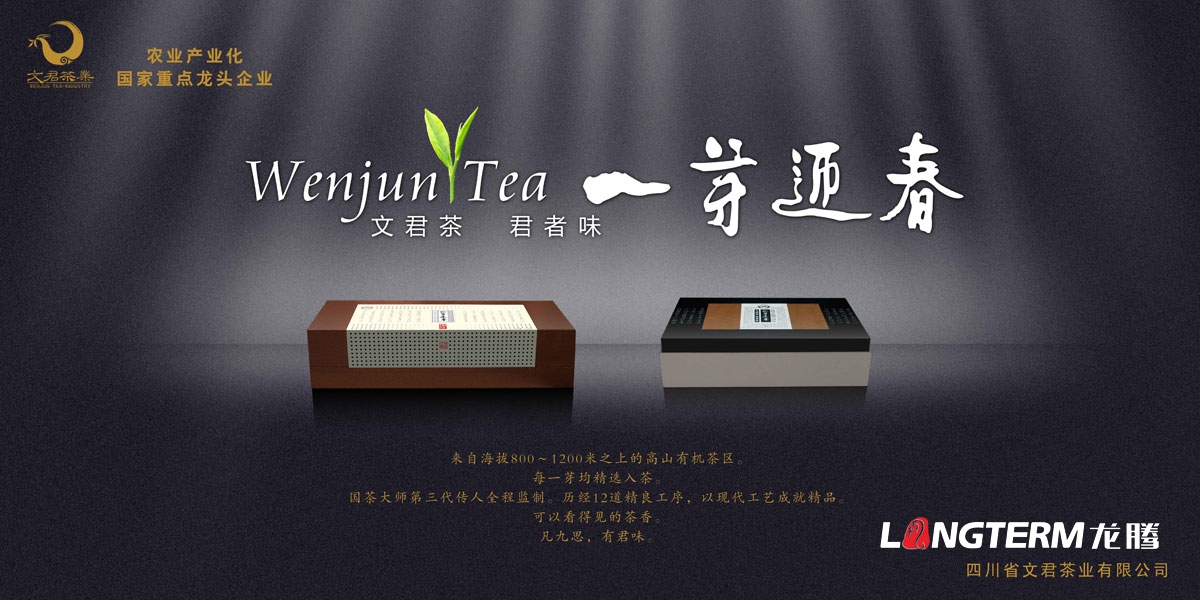文君茶宣傳海報設計|茶業(yè)西博會(huì )茶博會(huì )宣傳形象海報設計