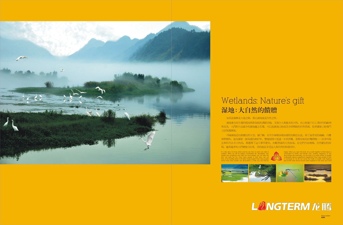邛海灣國際酒店宣傳畫(huà)冊設計|休閑度假主題酒店形象宣傳冊設計|國際大酒店大飯店樓書(shū)物料宣傳設計