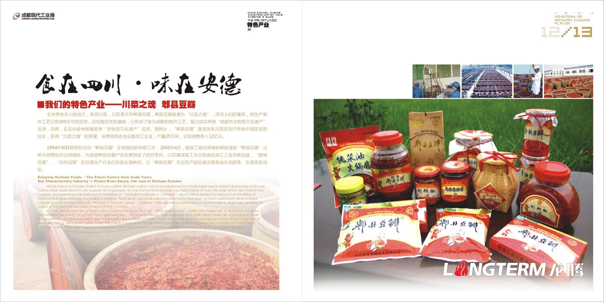 安德產(chǎn)業(yè)園區投資指南手冊設計|中國川菜產(chǎn)業(yè)化園區設計招商投資指南宣傳冊設計|產(chǎn)業(yè)園區投資宣傳手冊設計