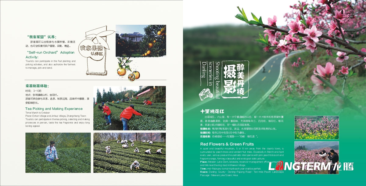 丹棱縣鄉村生態(tài)旅游宣傳設計|區縣DM單三折頁(yè)廣告設計|鄉鎮農村特色旅游活動(dòng)宣傳冊設計
