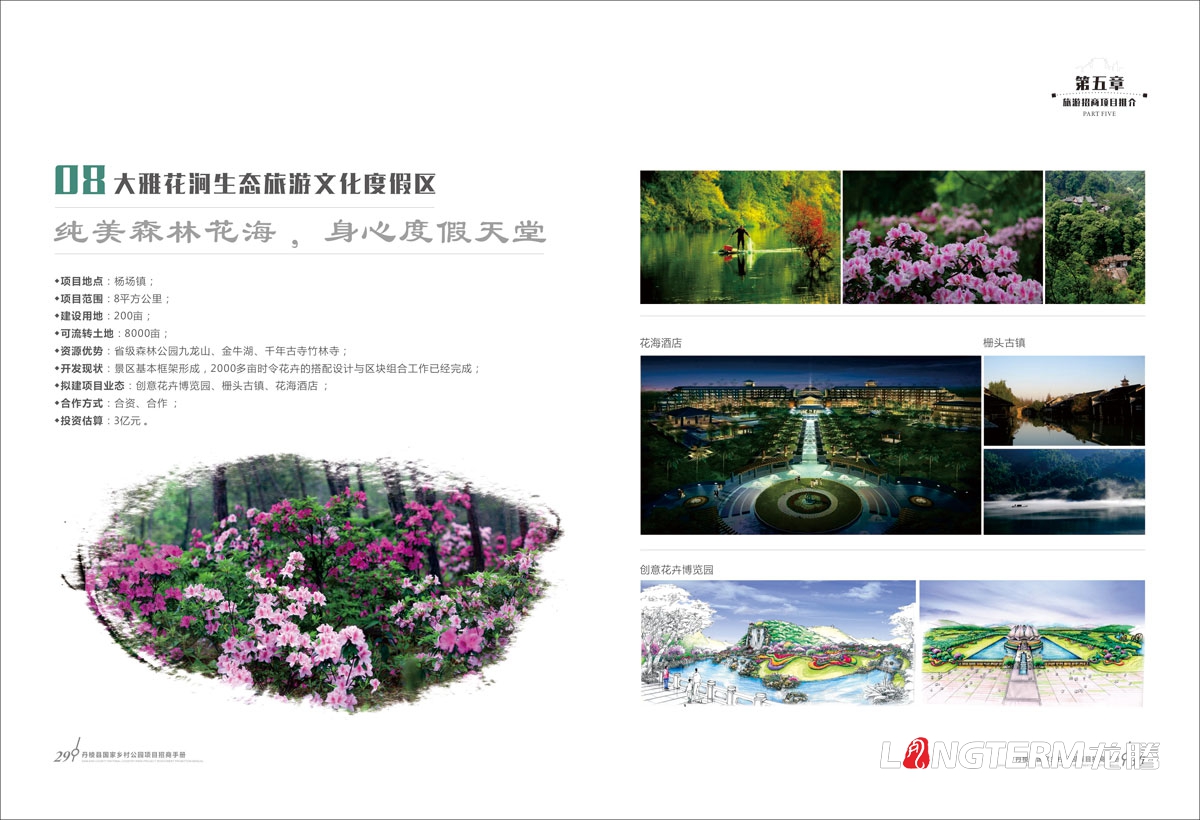 丹棱縣鄉村公園招商推介會(huì )手冊設計|中國大雅家園生態(tài)清新自然旅游發(fā)展宣傳冊設計效果圖