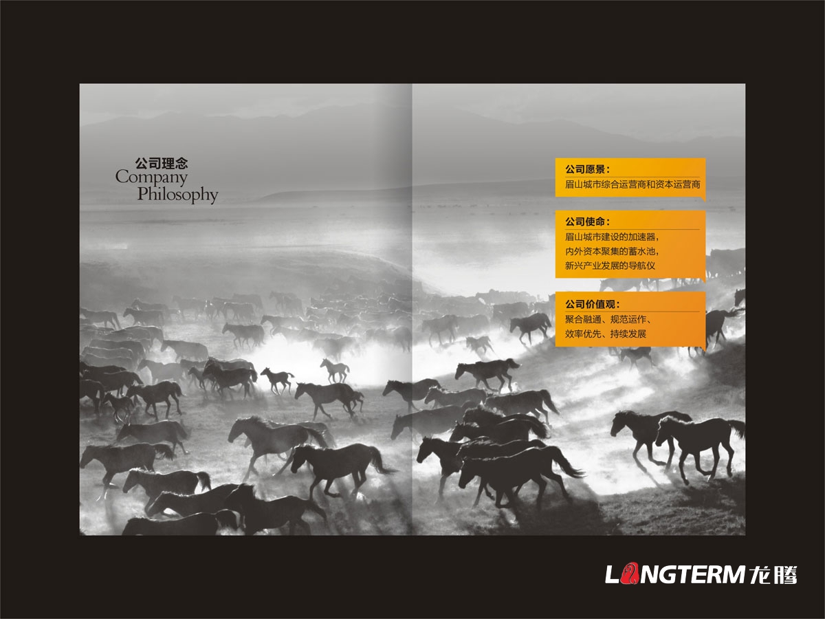 眉山控股公司畫(huà)冊設計|發(fā)展控股科技國有獨資產(chǎn)業(yè)投資公司形象宣傳冊設計