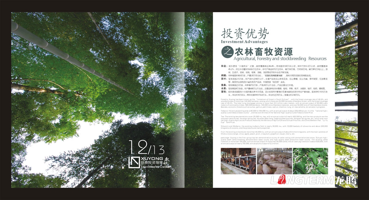 敘永縣招商投資指南手冊設計|城市鄉鎮鄉村招商投資宣傳畫(huà)冊設計|城市交通礦產(chǎn)資源旅游商務(wù)招商宣傳冊設計