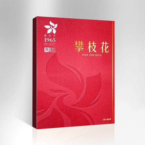 包裝設計-攀枝花市志光盤(pán)包裝設計|城市市志禮盒包裝設計效果圖|市志CD-ROM光盤(pán)光碟禮品盒手提袋設計方案