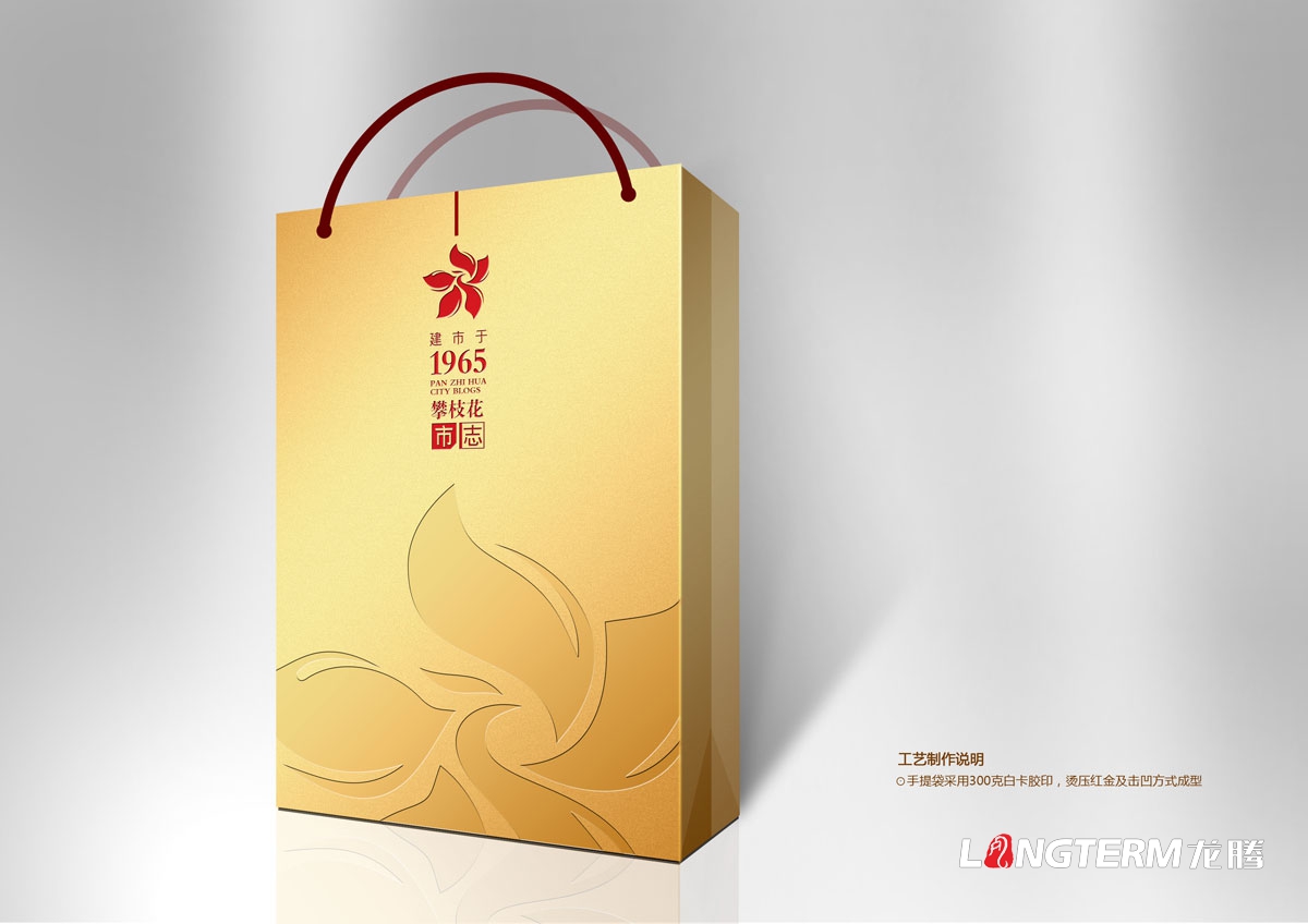攀枝花市志光盤(pán)包裝設計|城市市志禮盒包裝設計效果圖|市志CD-ROM光盤(pán)光碟禮品盒手提袋設計方案