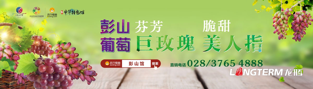 眉山市彭山區葡萄節活動(dòng)宣傳設計|活動(dòng)主畫(huà)面物料廣告手提袋DM單道旗戶(hù)外大牌簽到板指示牌背景板展板設計