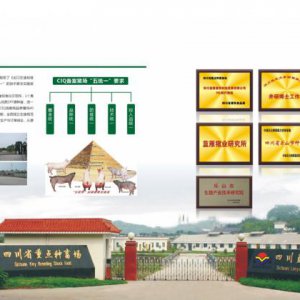 成都市青羊區品牌畫(huà)冊設計公司