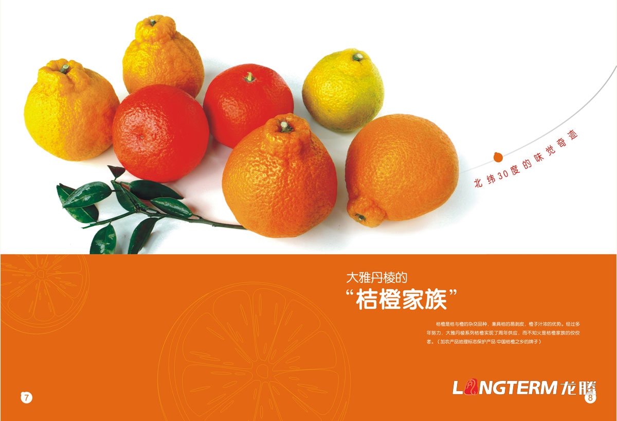 丹棱縣不知火品牌營(yíng)銷(xiāo)策劃公司|眉山市水果桔橙種植基地丑柑愛(ài)媛春見(jiàn)清見(jiàn)耙耙柑大雅柑品牌推廣活動(dòng)執行公司