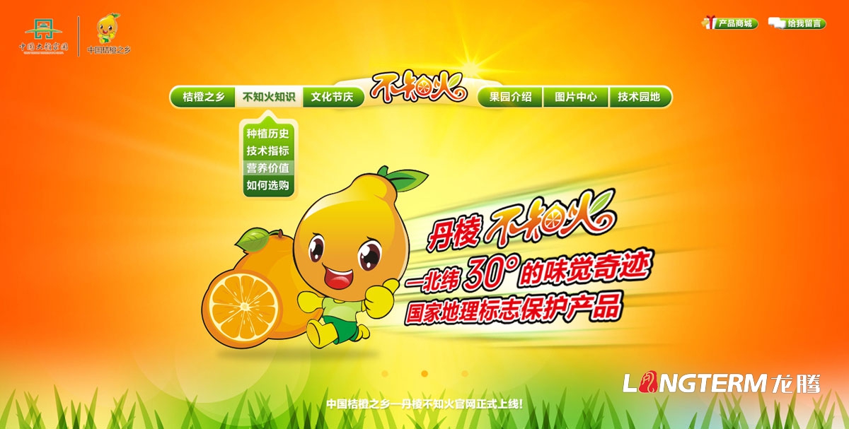 四川水果品牌策劃營(yíng)銷(xiāo)推廣公司|高端有機休閑水果品牌建設|水果電商互聯(lián)網(wǎng)上行網(wǎng)絡(luò )營(yíng)銷(xiāo)策劃方案