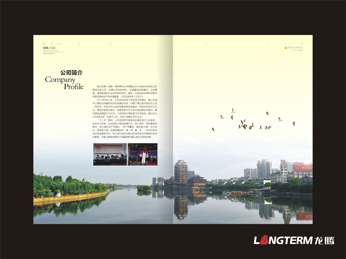 眉山專(zhuān)業(yè)畫(huà)冊設計公司|眉山市創(chuàng  )意宣傳冊折頁(yè)設計|東坡區丹棱縣仁壽眉山青神洪雅折頁(yè)設計