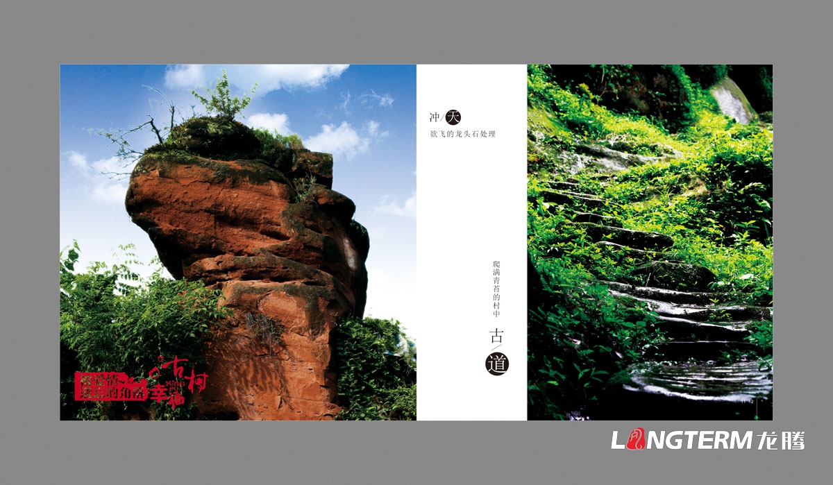 眉山專(zhuān)業(yè)畫(huà)冊設計公司|眉山市創(chuàng  )意宣傳冊折頁(yè)設計|東坡區丹棱縣仁壽眉山青神洪雅折頁(yè)設計