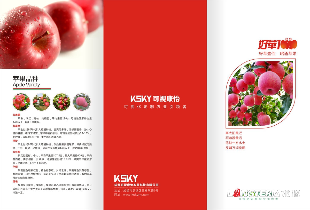 可視康怡蘋(píng)果宣傳三折頁(yè)廣告設計|水果宣傳物料廣告設計|農業(yè)科技公司鮮果宣傳設計