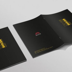 成都律師事務(wù)所畫(huà)冊設計公司