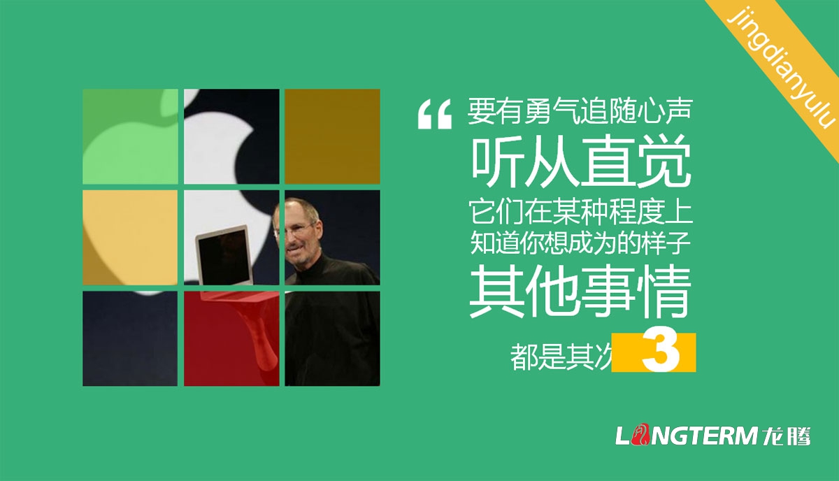 成都ppt設計制作公司|優(yōu)秀簡(jiǎn)單簡(jiǎn)潔大氣高端原創(chuàng  )創(chuàng  )意幻燈片設計制作|公司介紹PPT招商宣傳發(fā)布匯報