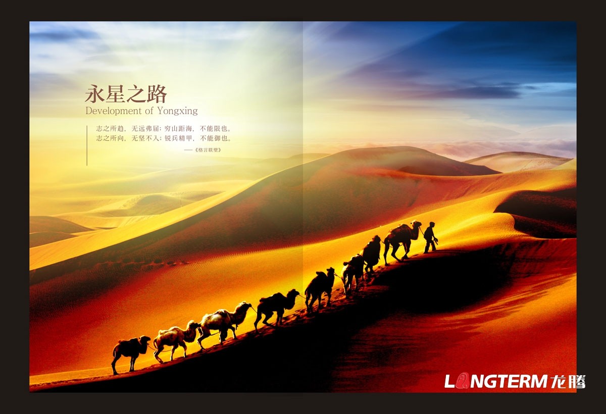 成都電子科技公司形象宣傳畫(huà)冊設計|信息技術(shù)設備工程公司品牌宣傳冊設計