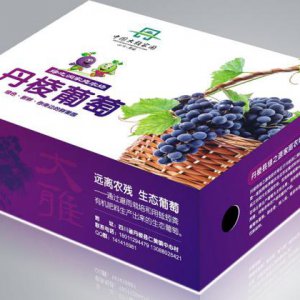 成都創(chuàng  )意水果禮盒包裝盒子設計印刷公司