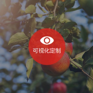 成都可視康怡農業(yè)科技有限公司官網(wǎng)設計正在進(jìn)行中