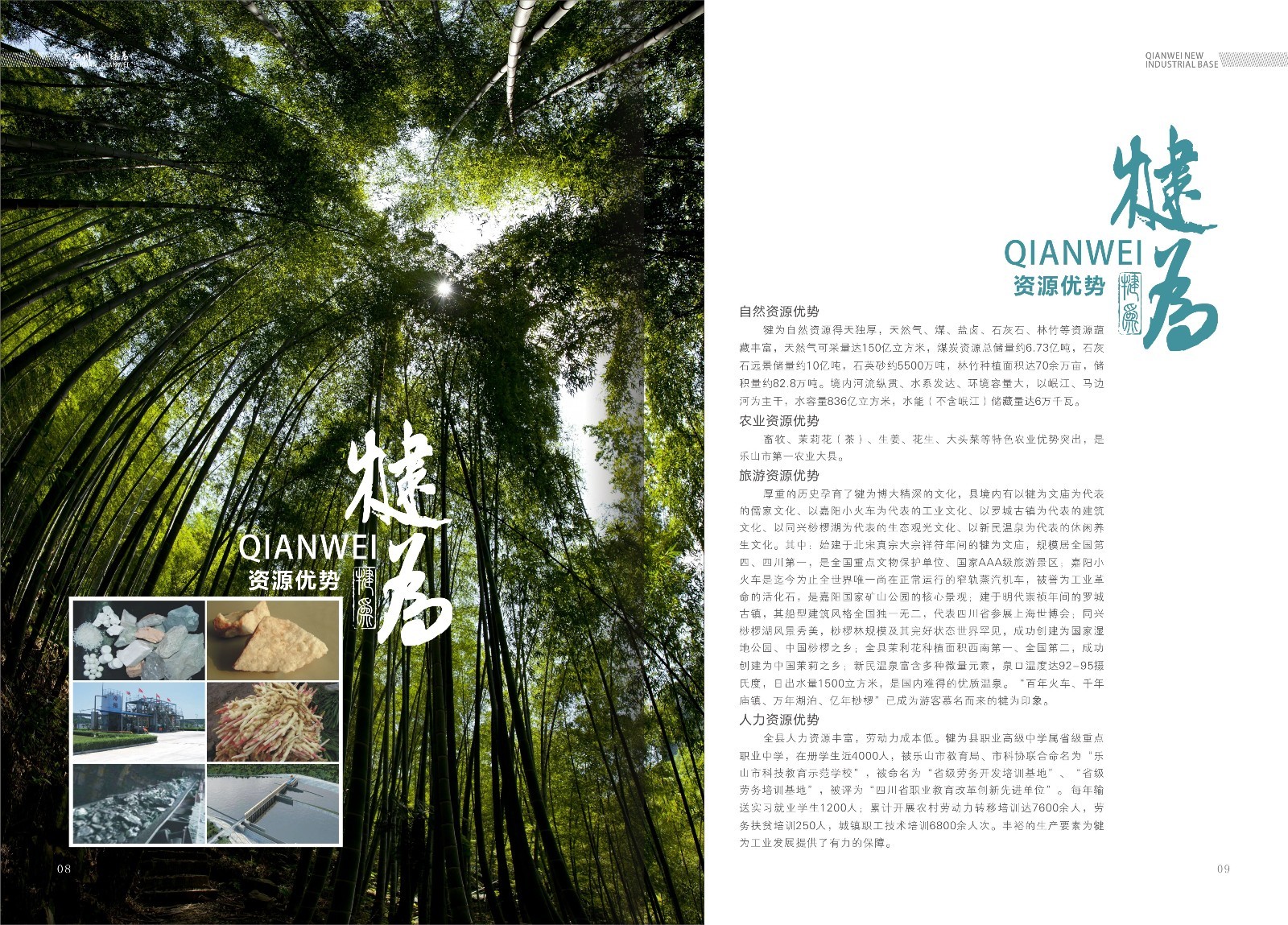 成都企業(yè)招商宣傳冊設計公司|四川政府工業(yè)園區招商引資宣傳畫(huà)冊設計印刷制作