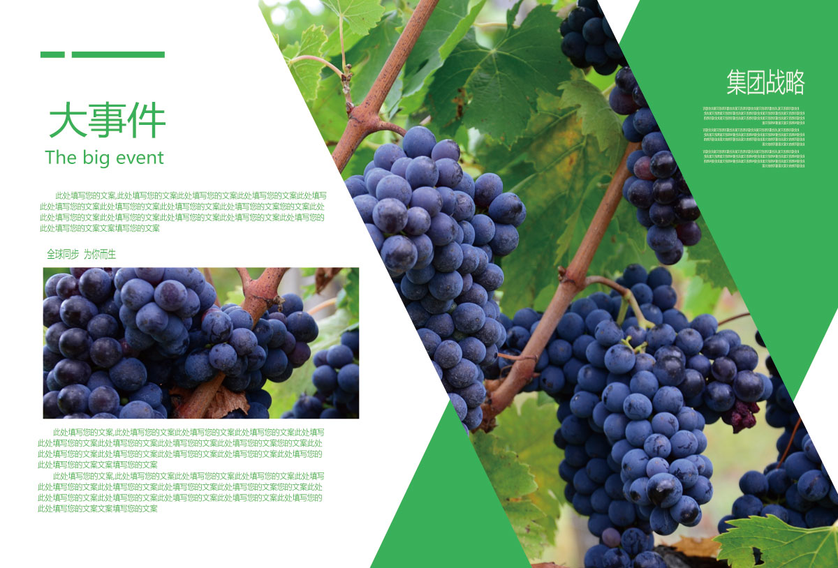 成都農業(yè)科技公司形象宣傳冊設計|四川農業(yè)發(fā)展投資集團公司品牌升級形象畫(huà)冊設計