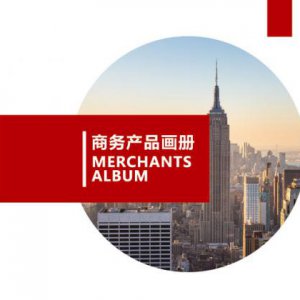 成都商務(wù)公司形象宣傳畫(huà)冊設計