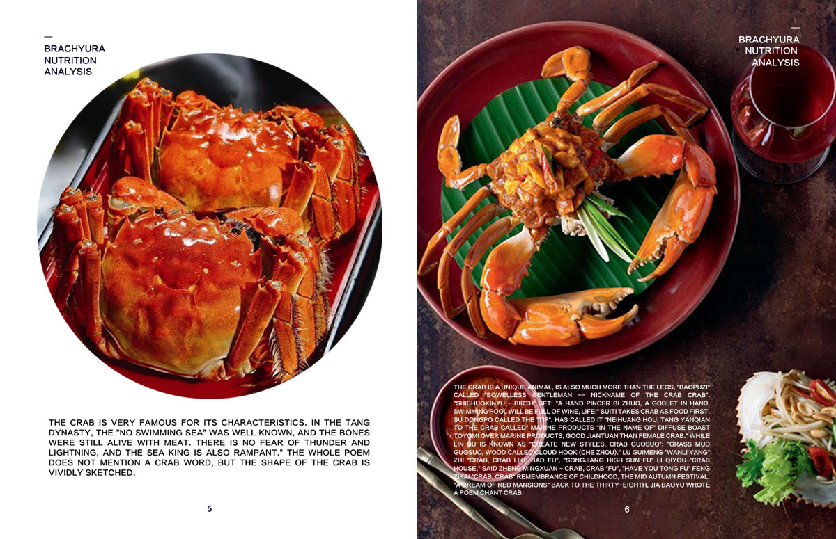 成都美味美食宣傳冊設計公司|四川食品食材餐廳餐館品牌形象宣傳畫(huà)冊設計公司