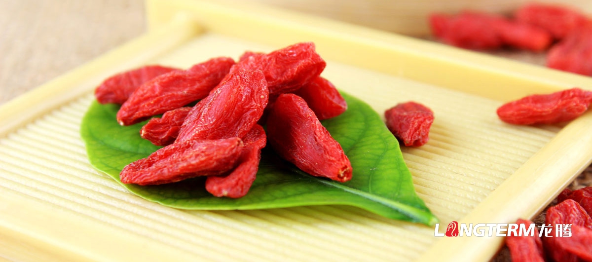 發(fā)展現代農業(yè)如何實(shí)現升級？成都農業(yè)科技發(fā)展投資公司如何實(shí)現農業(yè)產(chǎn)業(yè)轉型？