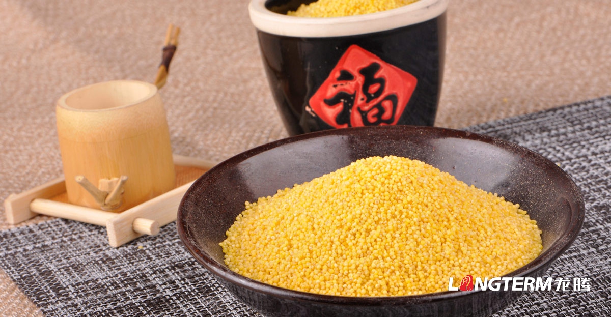 發(fā)展現代農業(yè)如何實(shí)現升級？成都農業(yè)科技發(fā)展投資公司如何實(shí)現農業(yè)產(chǎn)業(yè)轉型？