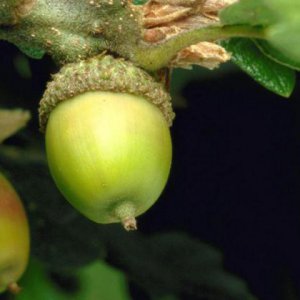 品牌包裝策劃公司：中國農產(chǎn)品企業(yè)必須重視的包裝問(wèn)題
