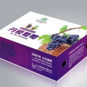 水果品牌策劃公司：佳沛維持斗爭優(yōu)勢的兩個(gè)方面