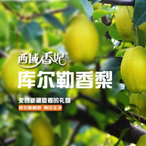 龍騰為西域香妃設計電商產(chǎn)品詳情頁(yè)